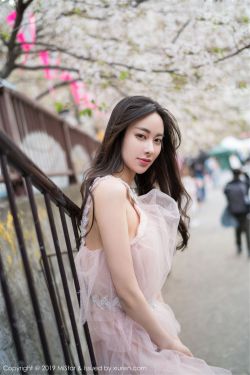 樱兰高校男公关部图片