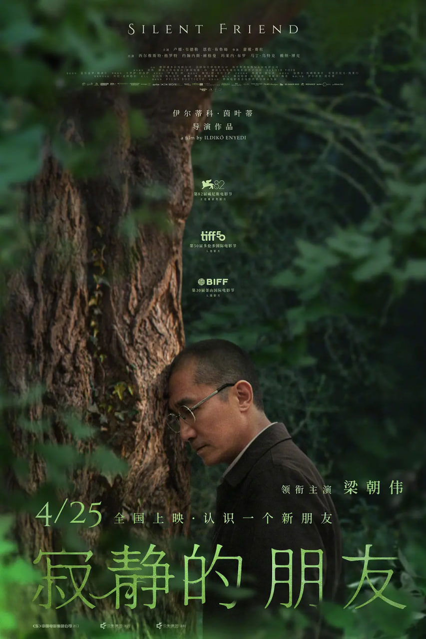 寂静的朋友
